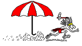 RCC Logo klein